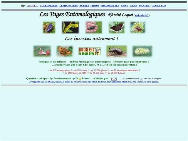 Insectes.net