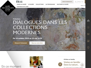 Musée des Beaux-Arts de Lyon