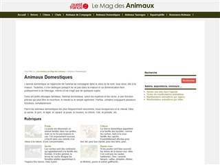 Le Mag des Animaux : Animaux domestiques