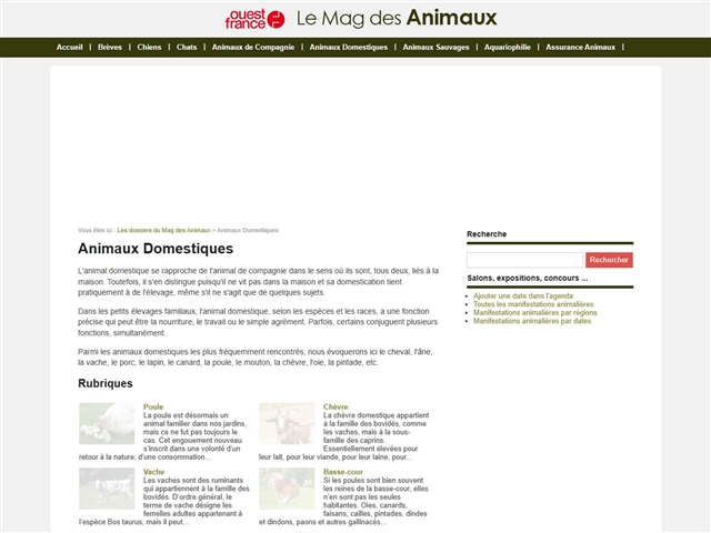 Le Mag des Animaux : Animaux domestiques