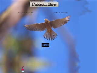 L'oiseau libre