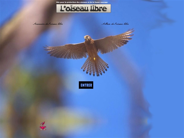 L'oiseau libre