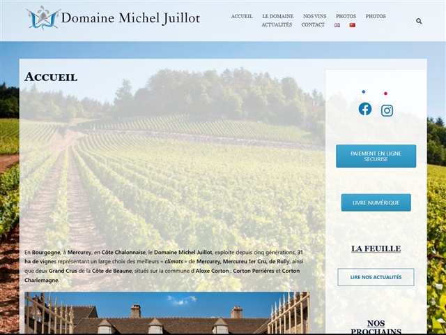 Domaine Michel Juillot