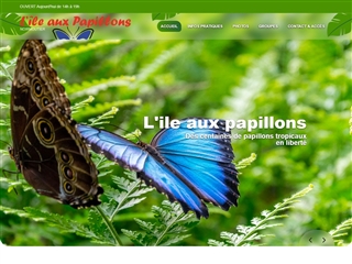 L'île aux papillons