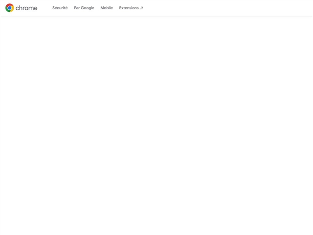 Google Chrome : Windows