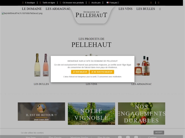 Château de Pellehaut