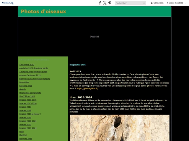 PHOTOS D'OISEAUX