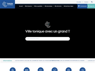 Thaon-les-Vosges (88150)