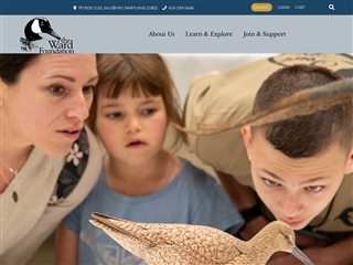 Musée Ward d'Art ornithologique