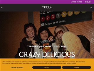 Terra Chips