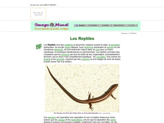 Imago Mundi : Reptiles