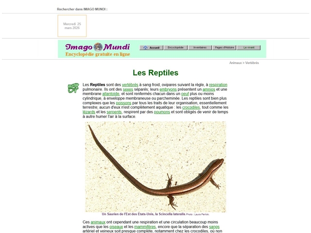 Imago Mundi : Reptiles