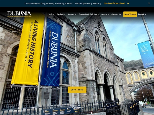 Dublinia