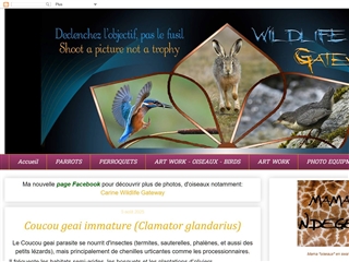 1000 Pattes - Wildlife Gateway