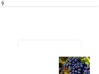 Vins de Saint-Estèphe