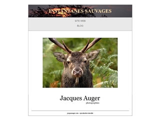 Instantanés sauvages : Jacques Auger