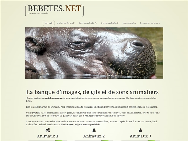 Bébêtes.net