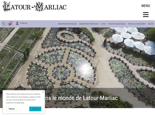 Latour - Marliac Nymphéas