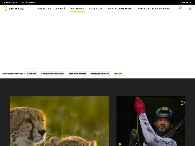 National Geographic : Animaux