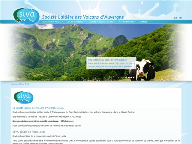 Slva