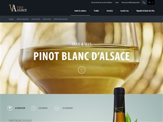 Pinot blanc d'Alsace