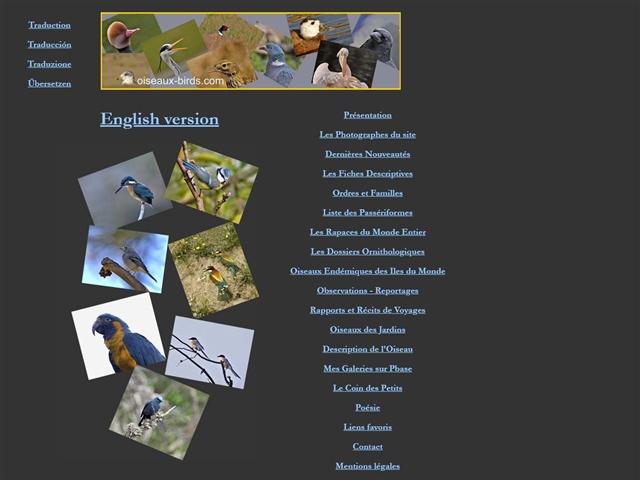 Oiseaux-birds.com