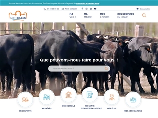 Saint-Gilles (30800)