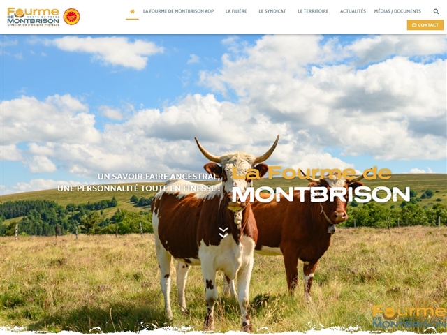 Fourme de Montbrison