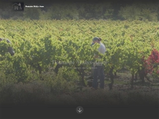 Domaine Malys-Anne