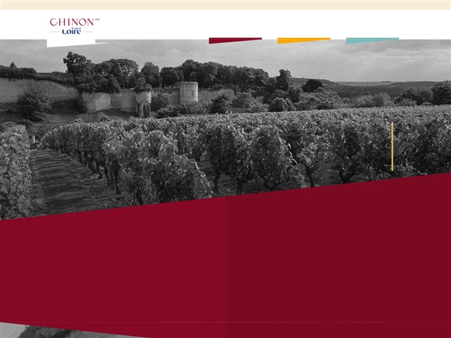 Vins de Chinon