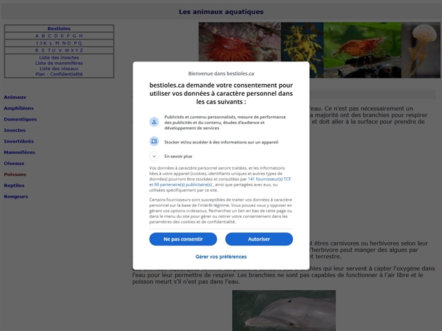 Bestioles, insectes et autres animaux ...   