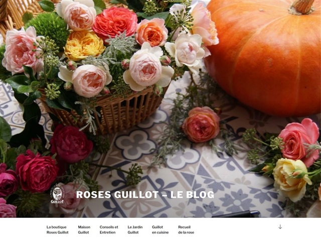 Roses Guillot : Le Blog