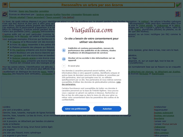 Viagallica : Arbres : Reconnaissance par Ecorce