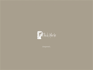 Grotte du Pech-Merle