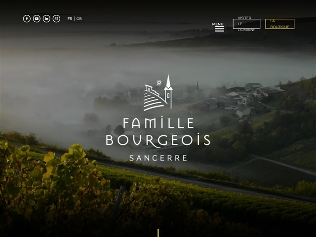 Domaine Henri Bourgeois