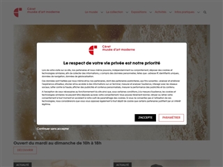 Musée d'Art Moderne de Céret