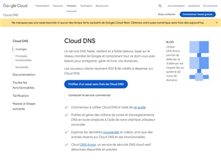 Google : Cloud DNS