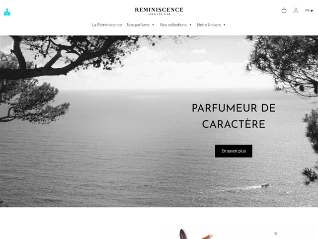 Reminiscence