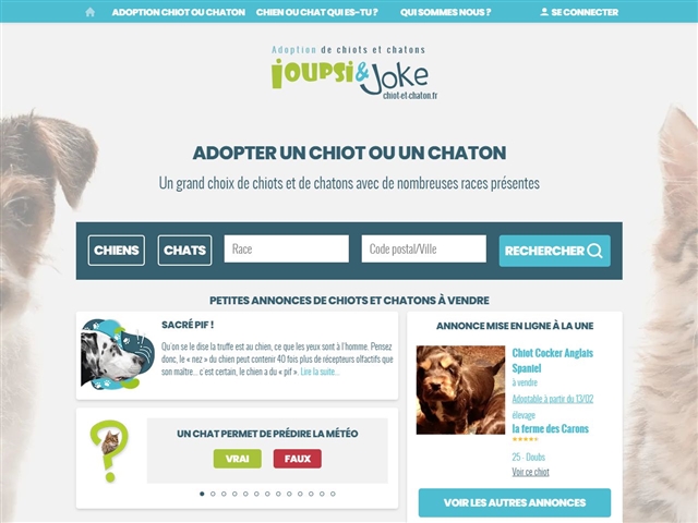 Chiot-et-chaton.fr