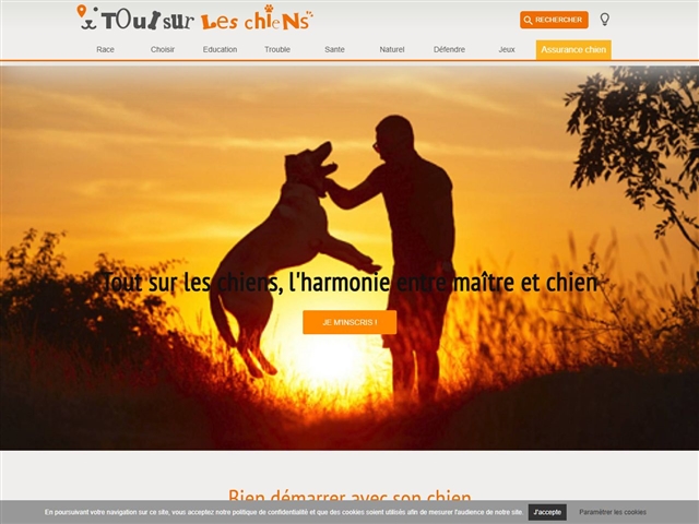 Tout sur les chiens
