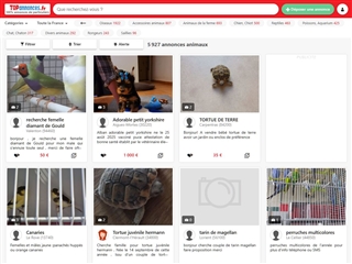 Topannonces : Animaux