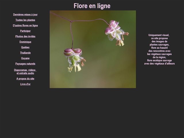 Flore En ligne