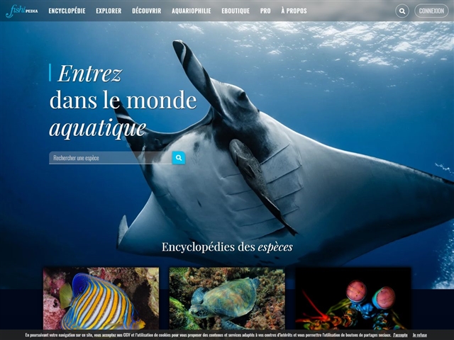 Fishipedia