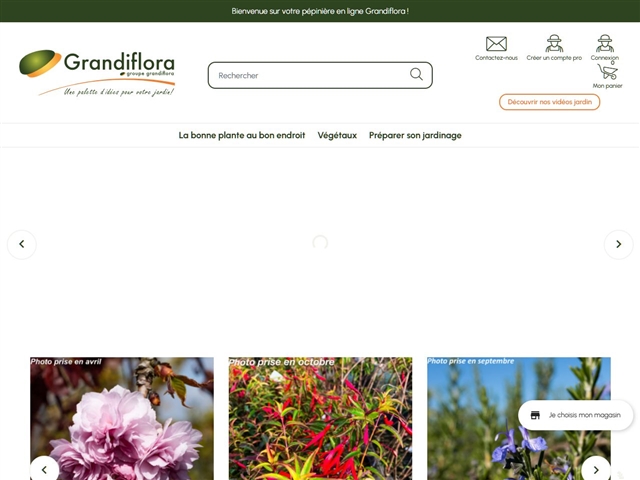 Grandiflora