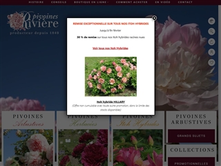Pivoines Rivière
