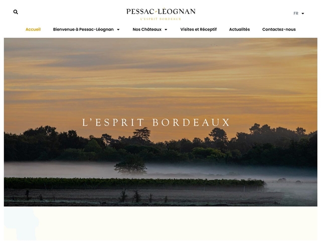 Vins de Pessac-Leognan