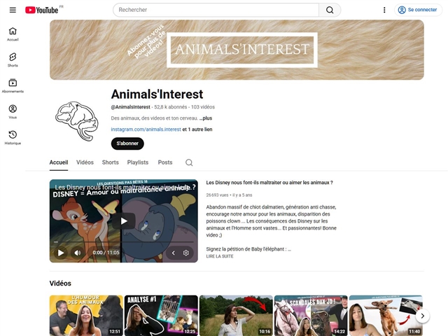 Animals Interest