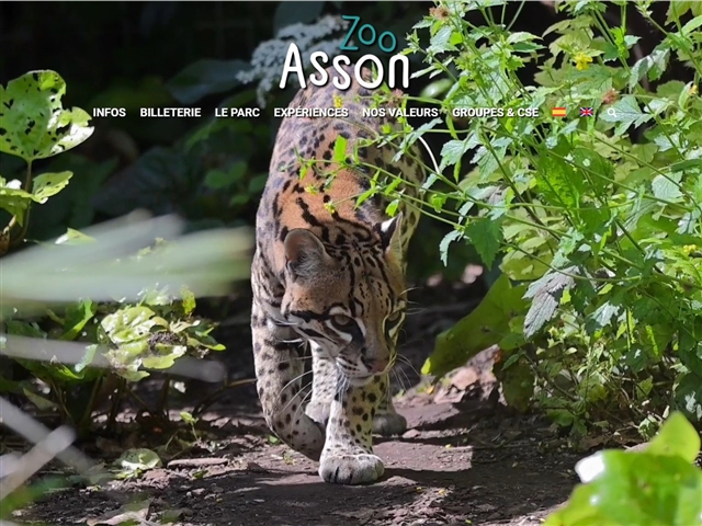 Zoo d'Asson