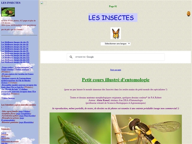 Les Insectes