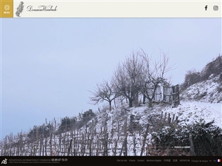 Domaine Weinbach